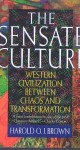 The Sensate Culture: Western Civilization; Between Chaos And Transformation